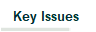   Key Issues